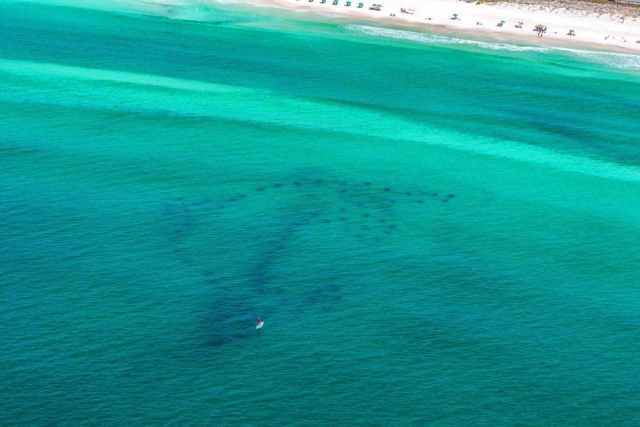 Lakeview #6- Emerald Searenity Destin Esterno foto